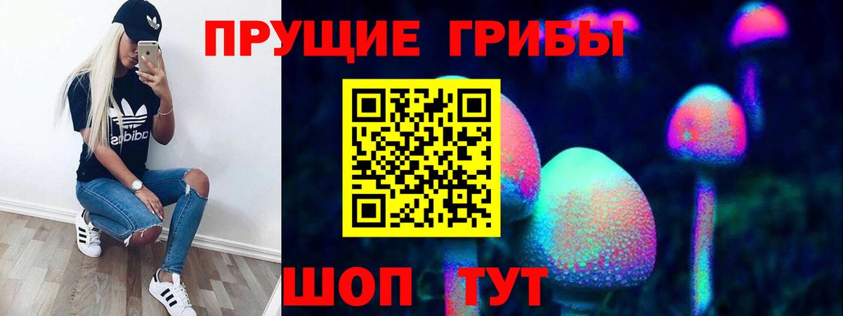 Елабуга  Псилоцибиновые грибы ЛСД  Вход с VPN 